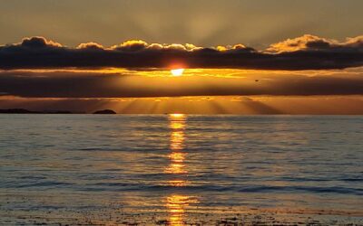 Winter in Tasmania