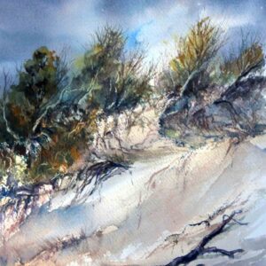 Bakers Beach Dunes, watercolour reproduction