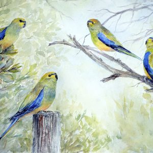 "Quartet" blue winged parrot